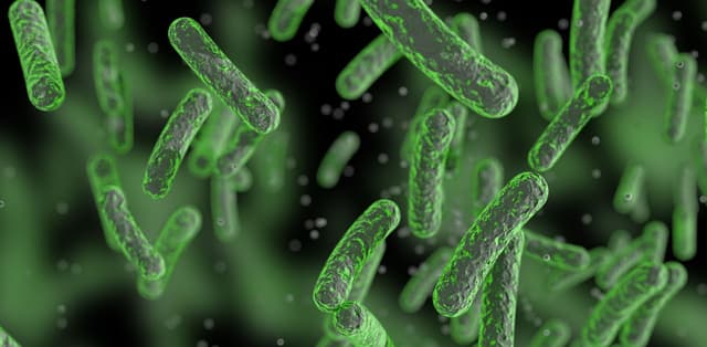 Làm thế nào để giúp lợi khuẩn trong âm đạo phát triển?