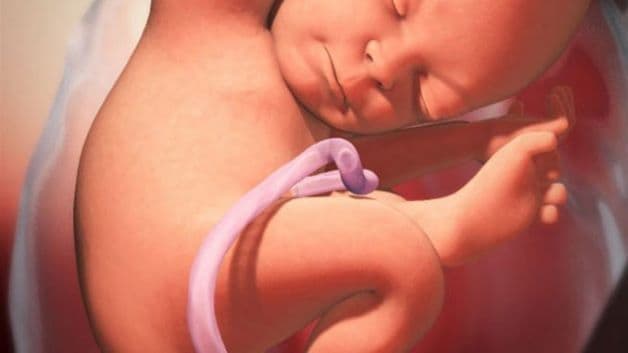 Vào những tuần cuối của thai kỳ, thai nhi phát triển lớn hơn về kích thước và trọng lượng, khiến mẹ luôn cảm giác nặng nề dẫn đến giấc ngủ bị giảm chất lượng