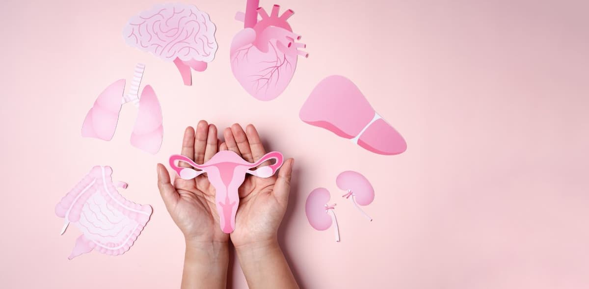 Nguyên nhân gây ra u xơ tử cung và phương pháp điều trị