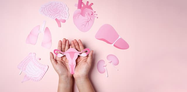 Nguyên nhân gây ra u xơ tử cung và phương pháp điều trị