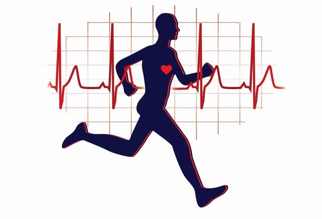 Rối loạn nhịp tim nhanh có những loại nào?