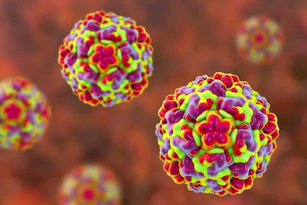 Virus gây sốt siêu vi có thể là Rhinovirus