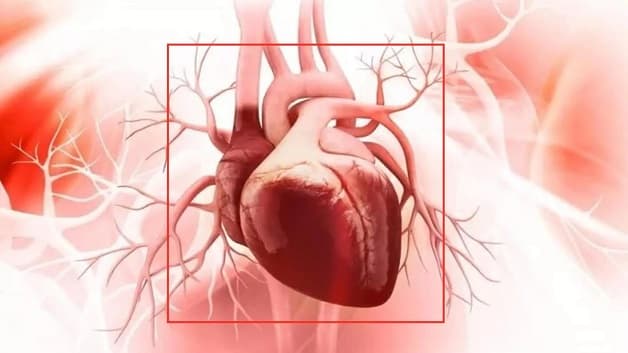 Suy tim độ 2 là gì?