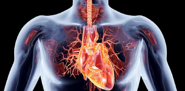 Triệu chứng và nguyên nhân gây suy tim mất bù