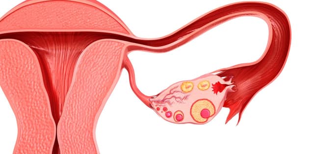 Bệnh u nang buồng trứng có chữa được không?