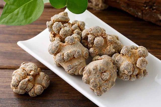 Người bị u nang buồng trứng uống tam thất có hiệu quả không?