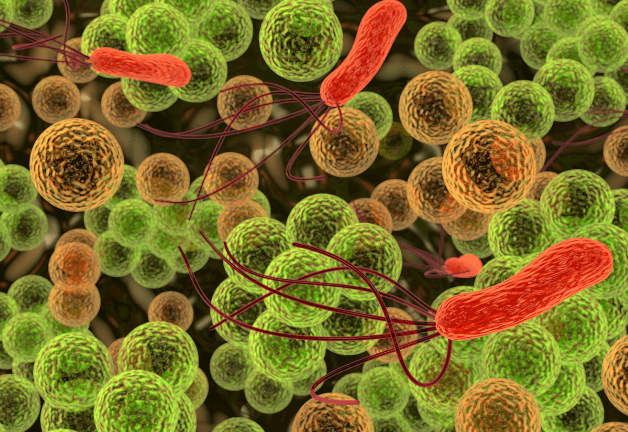 Nguyên nhân chính gây viêm kết mạc ở trẻ 2 tuổi là vi khuẩn, virus