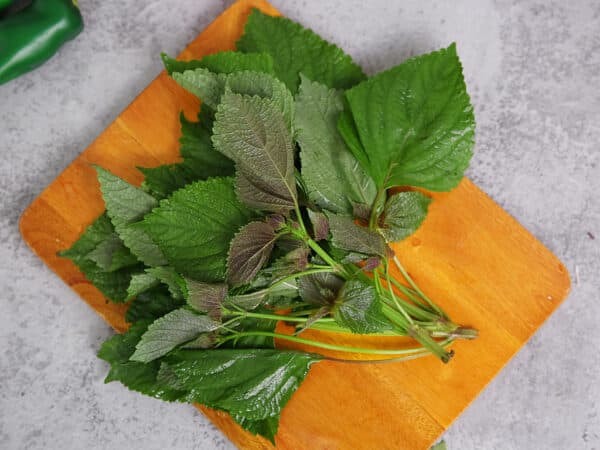 Bé bị cảm lạnh ăn cháo gì khi tía tô là một gia vị cực hữu hiệu cho món cháo tại gia