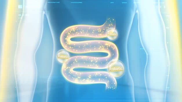 Bổ sung lợi khuẩn để điều trị bệnh