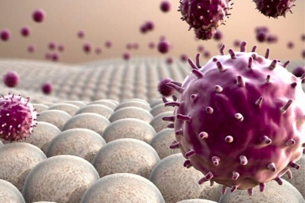 Virus, vi khuẩn hoặc các tác nhân gây dị ứng… là nguyên nhân khiến trẻ mắc viêm phế quản cấp