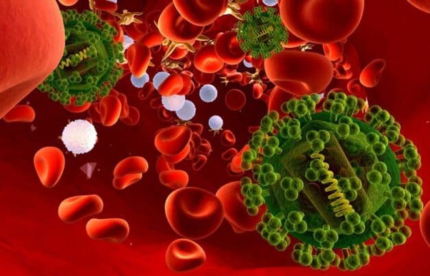 Viêm ruột hoại tử có thể gây ra biến chứng nhiễm khuẩn huyết