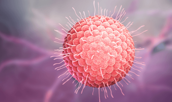 Vi rút varicella-zoster chính là 