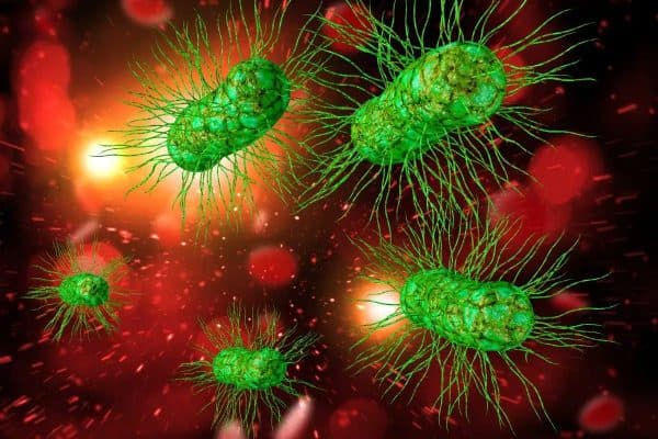 E.Coli, Salmonella, Shigella… là những tác nhân chính gây nên hội chứng lỵ ở trẻ em