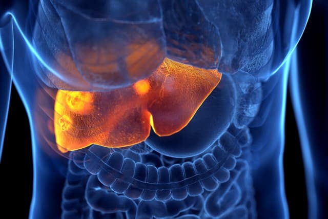 Ung thư gan ở nam giới xảy ra nhiều hơn ở nữ giới?