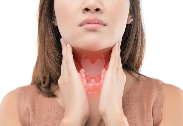 Tuyến giáp có hình dạng cánh bướm và nằm ở phía trước cổ