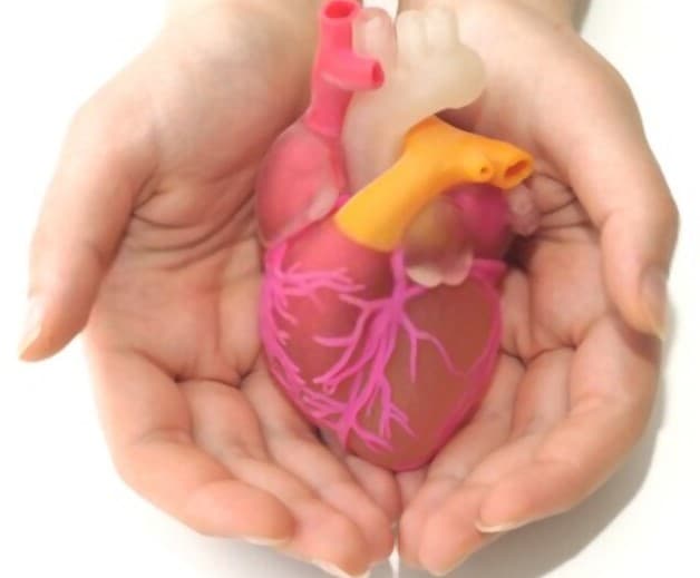 Hở van 2 lá ẩn chứa rất nhiều vấn đề nguy hiểm