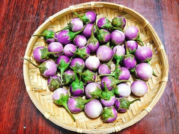 Bệnh glocom nên kiêng ăn gì mới tốt?