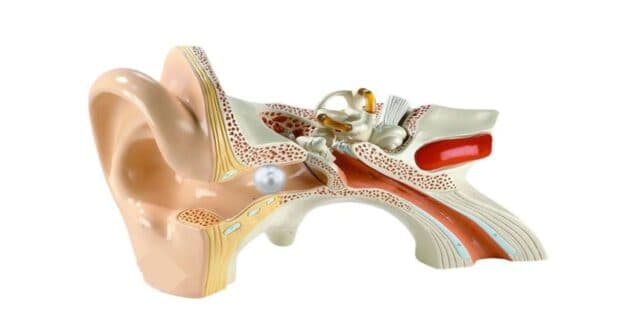 Dị vật trong tai trẻ