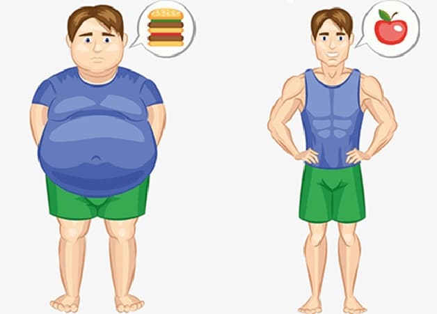 Thừa cân và béo phì là những yếu tố hàng đầu khiến gan nhiễm mỡ