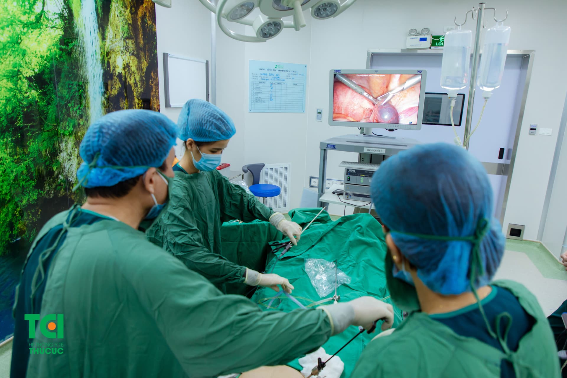 Nguyên nhân có thai ngoài dạ con có thể do cấu trúc và chức năng của ống dẫn trứng và tử cung có thể tạo ra một môi trường không thích hợp cho phôi đi qua và lắp đặt trong tử cung