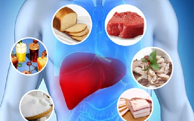 Gan thoái hóa mỡ xảy ra ở những người có lượng mỡ tích tụ trong các tế bào gan lớn