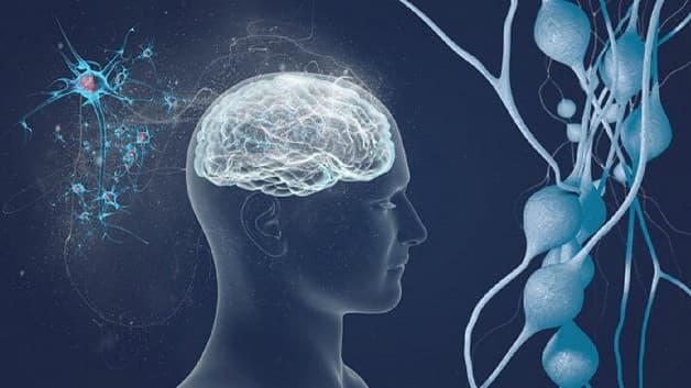 Parkinson bệnh học từ nguyên nhân