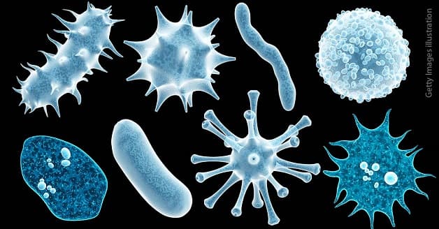 Các loại virus, vi khuẩn là nguyên nhân gây bệnh