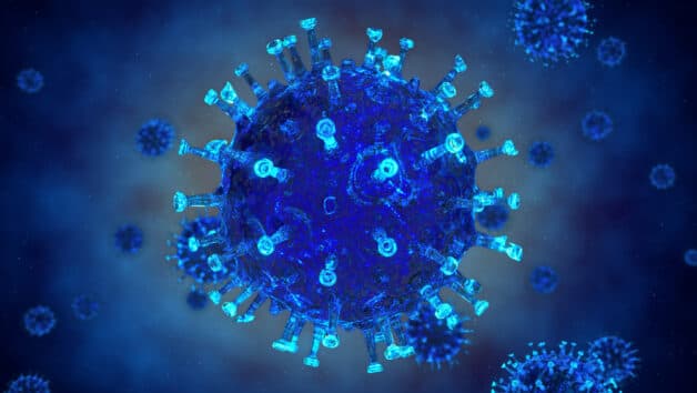 Virus gây viêm màng bồ đào chủ yếu là Herpes Simplex Virus