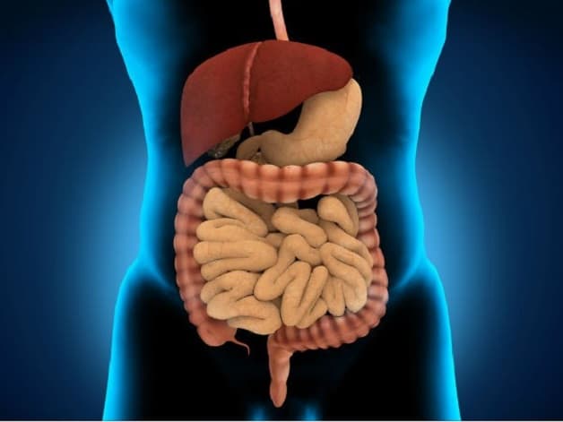 Viêm ruột nhẹ là bệnh lý phổ biến ở hệ tiêu hóa