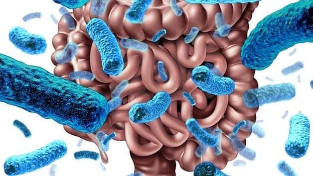 Viêm ruột nhẹ do nhiều nguyên nhân gây ra trong đó có các loại vi khuẩn, virus