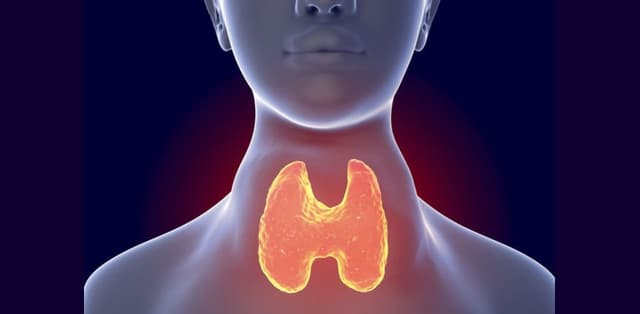 Bướu tuyến giáp: Nguyên nhân, cách điều trị