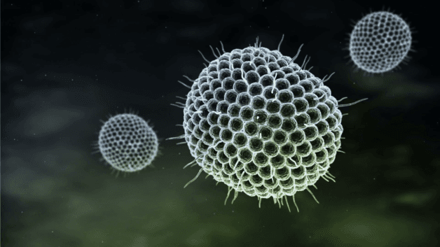 Thủy đậu là bệnh truyền nhiễm cấp tính do virus Varicella-Zoster (VZV) gây ra.