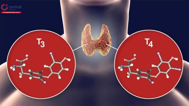 Hình ảnh minh họa yoastmark class=