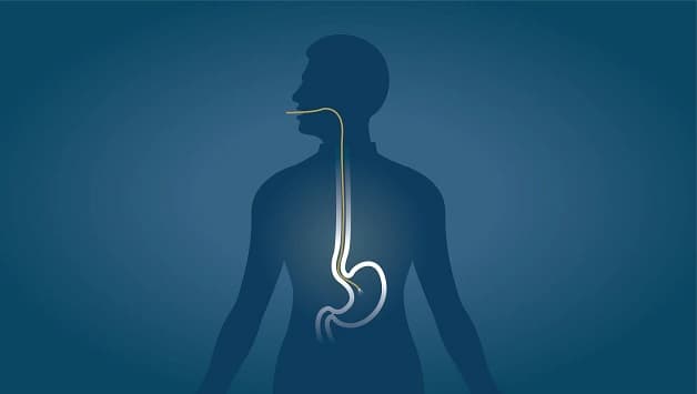 Quy trình nội soi dạ dày tá tràng