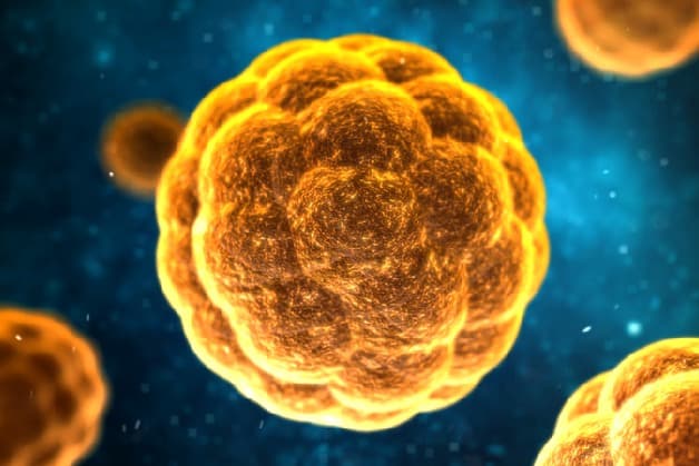 vắc xin viêm gan a