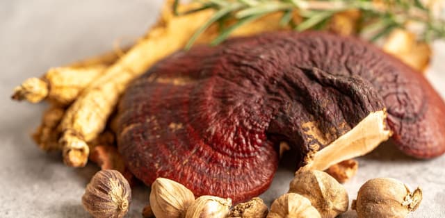 Top 4 cây dược liệu uống tốt cho bệnh u xơ tử cung