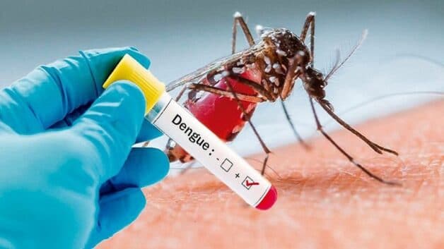 Khái niệm bệnh lý sốt xuất huyết dengue