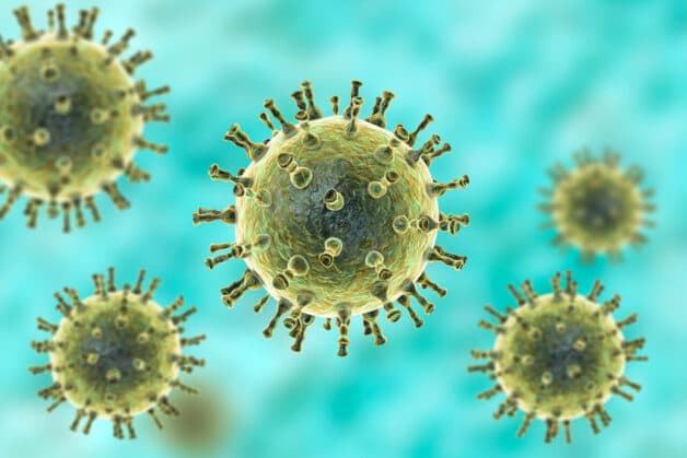 Nguyên nhân thủy đậu được xác định là virus, cụ thể ở đây là virus Varicella-Zoster.