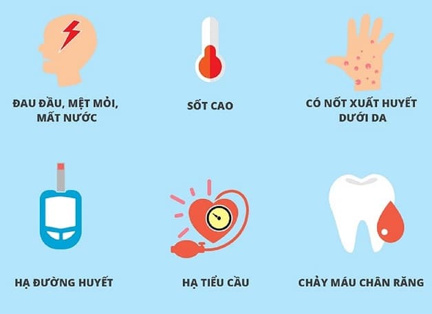 các triệu chứng sốt xuất huyết