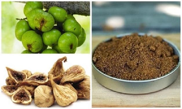 Cách chữa đại tràng bằng quả sung bằng món ăn