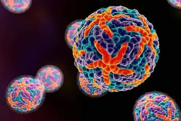 Virus sốt xuất huyết