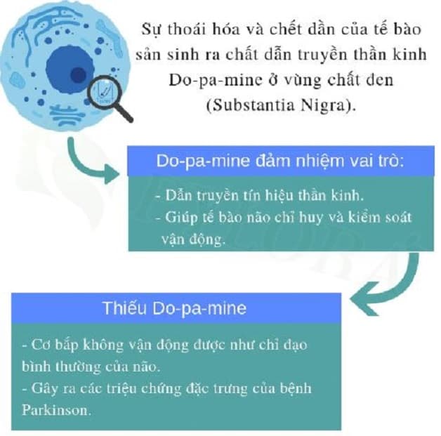 sinh lý bệnh parkinson