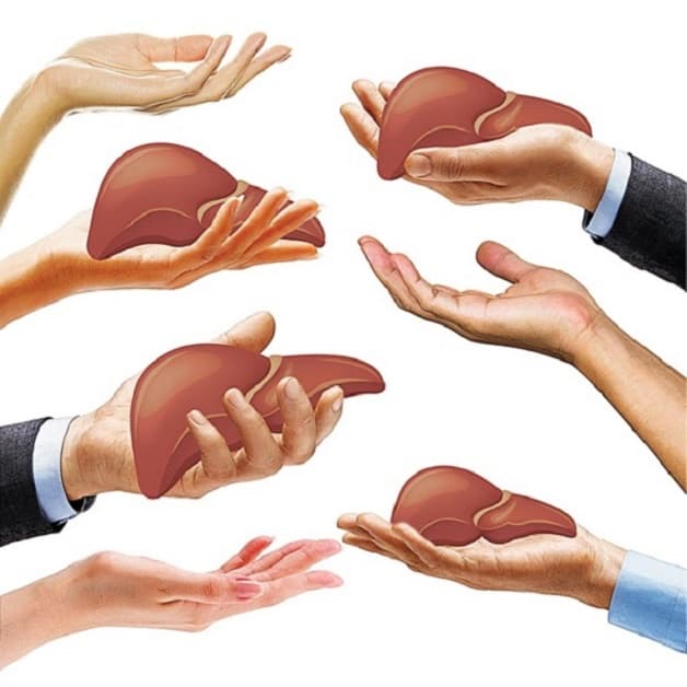 Hiểu về phẫu thuật điều trị bệnh ung thư gan