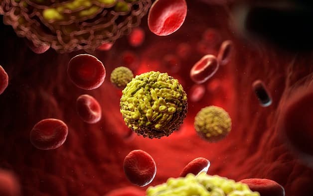 Nguyên nhân gây bệnh sốt xuất huyết