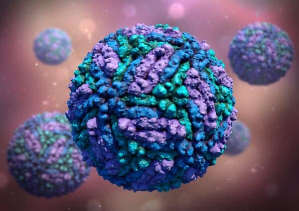 Nguyên nhân sốt xuất huyết ở trẻ em -2