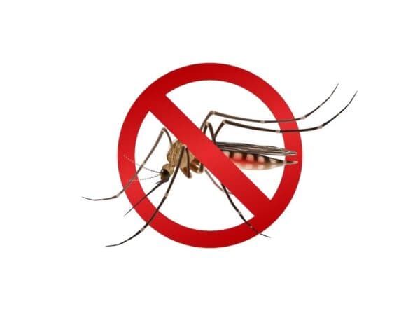 Diệt trừ con đường lây bệnh sốt xuất huyết