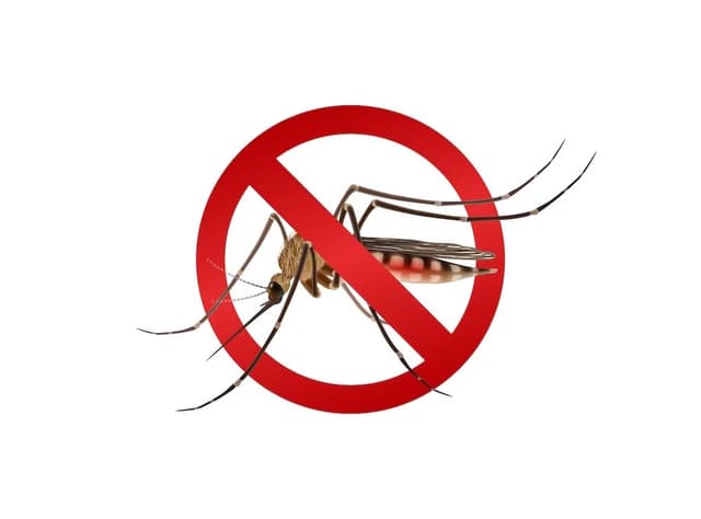 Cảnh giác với dịch sốt xuất huyết bùng phát