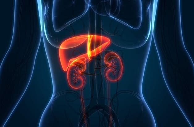 Suy thận mạn là một trong những biến chứng nguy hiểm của xơ gan.