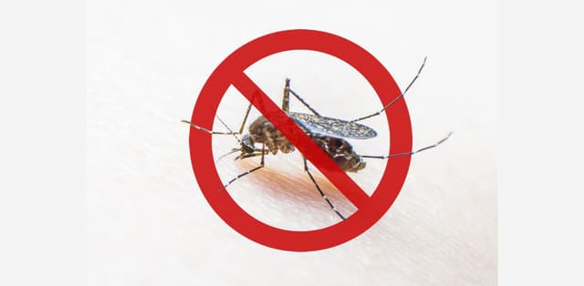 Những thứ nên tránh xa trong &#8220;mùa&#8221; sốt xuất huyết