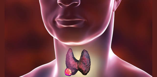 Các bệnh về tuyến giáp thường gặp